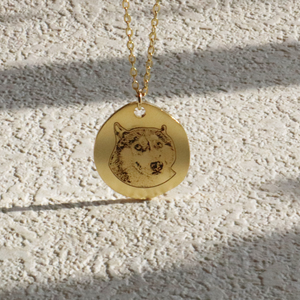 Personalized Irregular Pendant Silver Necklace Featuring Pet Photo