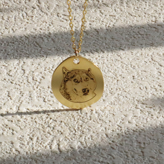 Personalized Irregular Pendant Silver Necklace Featuring Pet Photo